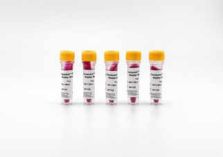Conquest PCR Master Mix-2 D911-Mix2, 5 x 1000ul, 2X PCR master mix optimized for GC-rich and high-GC content template amplification, direct gel loading