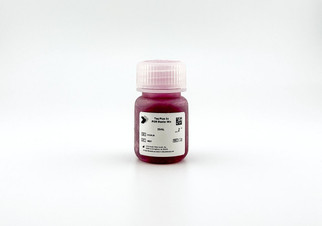 Taq Plus 2X PCR MasterMix 25ml D124R-25, bulk format direct gel loading PCR master mix with red dye, enhanced Taq and high-fidelity polymerase blend