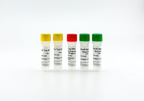 Tsg DNA Polymerase 500U, catalog D101-500, thermostable PCR enzyme from Thermus sp. for high-throughput PCR and TA cloning