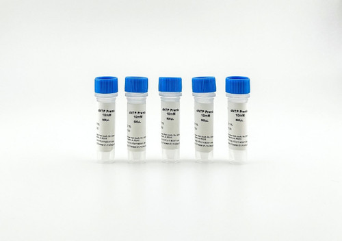 dNTP Premix 10mM Large Format D116L, 5 x 500ul, ready-to-use 10mM each dATP dCTP dGTP dTTP, nuclease-free PCR premix