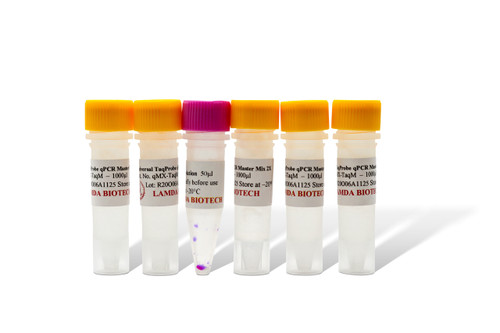qPCR 2X MasterMix Universal for TaqMan Assay qPCR 2X MasterMix Universal for TaqMan Assay