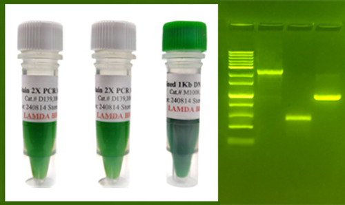 SafeStain 2x PCR Master Mix SafeStain 2x PCR Master Mix