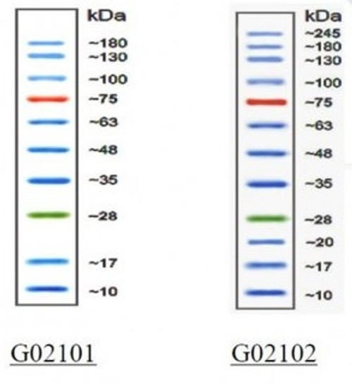 AccuRuler Prestained Protein Ladder, 10 tubes