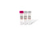 Pfu DNA Polymerase