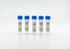 Taq Plus 2x Master Mix D124A, 5000ul, enhanced Taq PCR master mix with MgCl2, clear formulation for standard PCR amplification