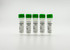 SusFexin polymer-based transfection reagent for suspension and adherent cell cultures, 5 x 1000ul bulk format