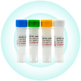 PCR Reagents
