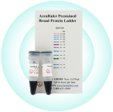 Protein Research