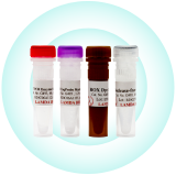 qPCR