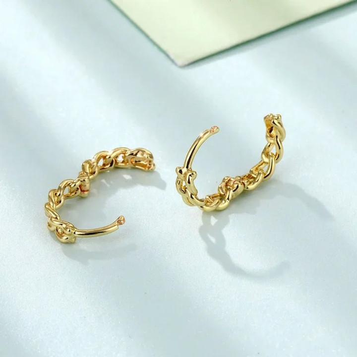 Baocc Twisted Circle Hoop Earrings: Minimalist, Trendy. Gold or Silver Options