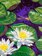 Fragrant Water Lily (detail)