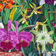 Detail of archival inkjet print Detail of archival inkjet print