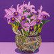 Orchids and Vase