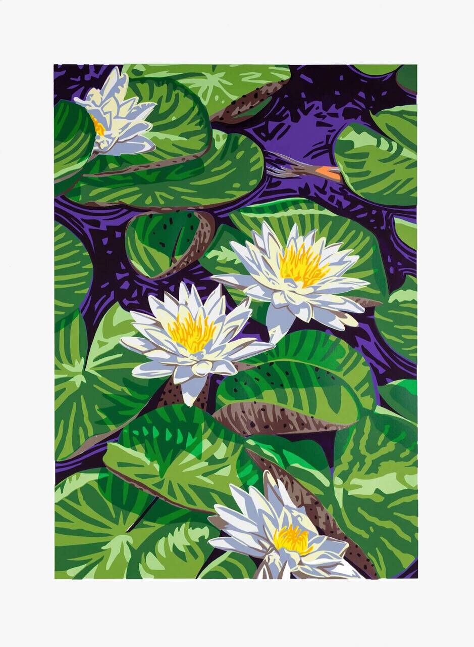 Fragrant Water Lily Screen Print Edition | 13 Colors | Kirk Fanelly
