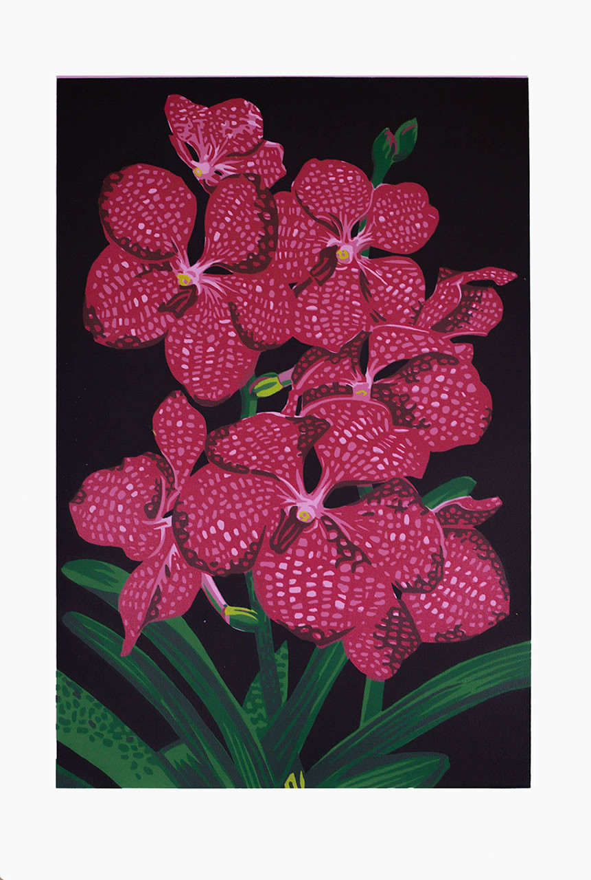 Vandy the pink メロン　ポスター Vanda Orchids Screen Print Editions | 9 Colors | Kirk Fanelly