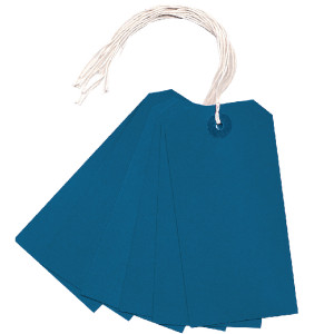 KF01625 Strung Tag 120x60mm Blue Pack 1000 KF01625 KF01625 Strung Tag 120x60mm Blue Pack 1000 KF01625