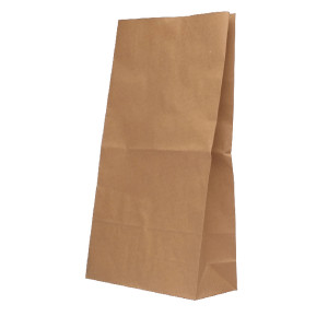 DC01158 Paper Bag 215x305x387mm Brown Pack 125 302168