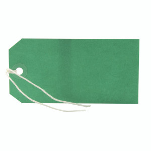 KF01624 Strung Tag 120x60mm Green Pack 1000 KF01624 KF01624 Strung Tag 120x60mm Green Pack 1000 KF01624