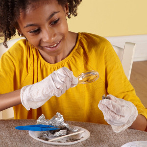 LR90738 Learning Resources Owl Pellet Mystery Science Lab Kit LR90738 Learning Resources Owl Pellet Mystery Science Lab Kit