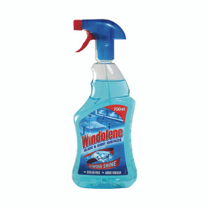 Windolene Glass and Shiny Surface Cleaner 750ml 3024873 Windolene Glass and Shiny Surface Cleaner 750ml 3024873