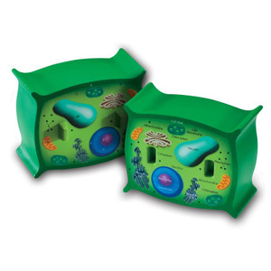 LER1901 Learning Resources Cross-Section Plant Cell Display Model LER1901 Learning Resources Cross-Section Plant Cell Display Model
