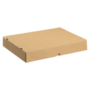 SO10409 Carton With Lid 305x215x50mm Brown Pack 10 144666114 SO10409 Carton With Lid 305x215x50mm Brown Pack 10 144666114