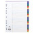 JT66599 Concord Index 1-20 A4 Polypropylene Multicoloured 66599 JT66599 Concord Index 1-20 A4 Polypropylene Multicoloured 66599