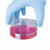 HEA00972 Shield Powder-Free Blue Nitrile Small Gloves Pack 100 GD19 HEA00972 Shield Powder-Free Blue Nitrile Small Gloves Pack 100 GD19