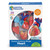 Learning Resources Heart Anatomy Display Model