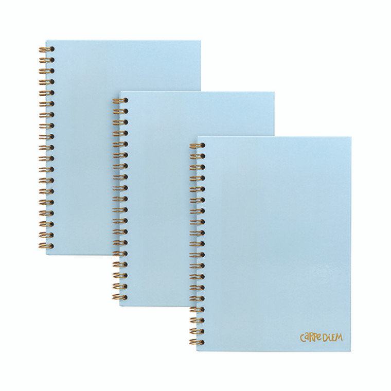 Pukka Pads Carpe Diem Wirebound Hardback Notebook Sky Blue B5 9378-CD