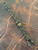 Black and Gold Paracord Knife Lanyard with Brass Spiral Spacer