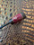 Extended Length Black Steel EDC Spike with Pheasant Wood, Brass Liner, and Red/Gold Web Tru-Stone Handle
