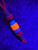 Hunter Orange Paracord Knife Lanyard with Elk Antler and Orange Glow Resin Bead Accented by White Turquoise, Brass, and Coyote Tan Mini Cord Wrap