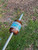 13 Layer Curly Koa Wood, Black G10, White G10, and Gold Web Turquoise Tru-Stone