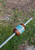 13 Layer Curly Koa Wood, Black G10, White G10, and Gold Web Turquoise Tru-Stone