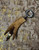 Rustic Deer Antler Bottle Opener with Integrated Leather, Green Aventurine, and Antler Bead Lanyard Rustic Deer Antler Bottle Opener with Integrated Leather, Green Aventurine, and Antler Bead Lanyard