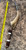 Deer Antler Handle EDC Spike with White Howlite and Handmade Desert Ironwood Bead Lanyard Deer Antler Handle EDC Spike with White Howlite and Handmade Desert Ironwood Bead Lanyard