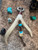 Handmade Deer Antler and Koa Wood Handle Gnarly Bottle Opener with Turquoise, Brass, and Antler Bead Lanyard Handmade Deer Antler and Koa Wood Handle Gnarly Bottle Opener with Turquoise, Brass, and Antler Bead Lanyard
