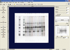 AnalytikJena Doc-It LS Image Analysis Software