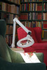 Circus LED Magnifier Library/Museum