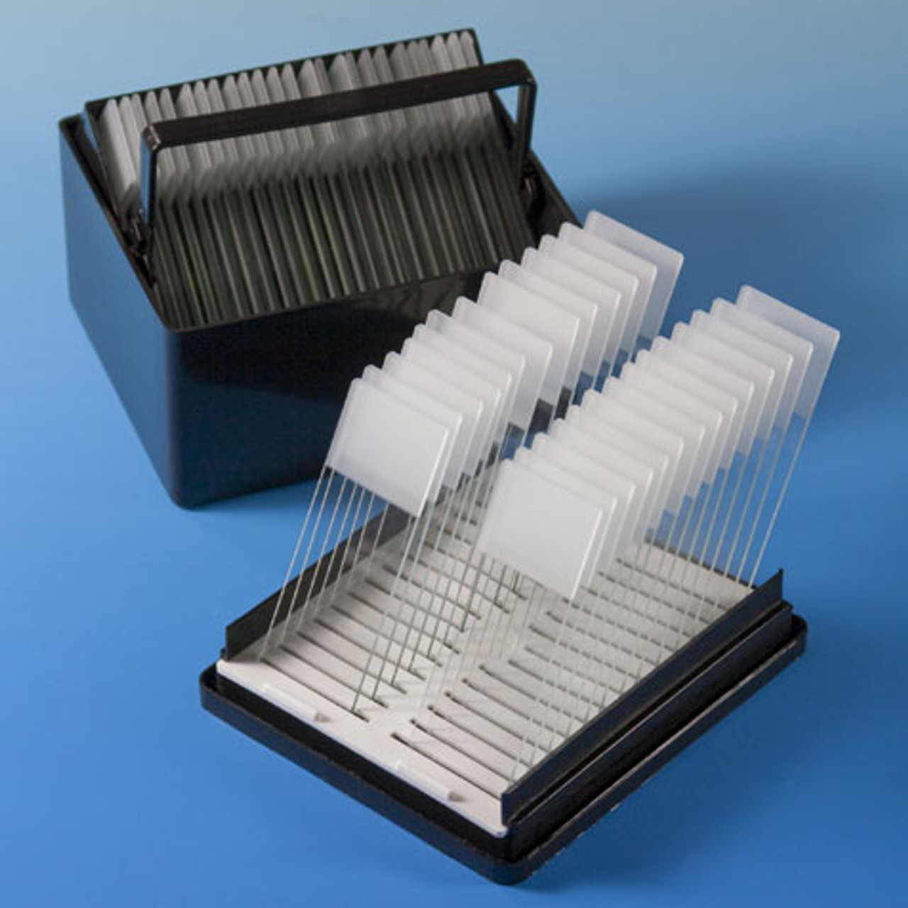 Slide Staining Dish