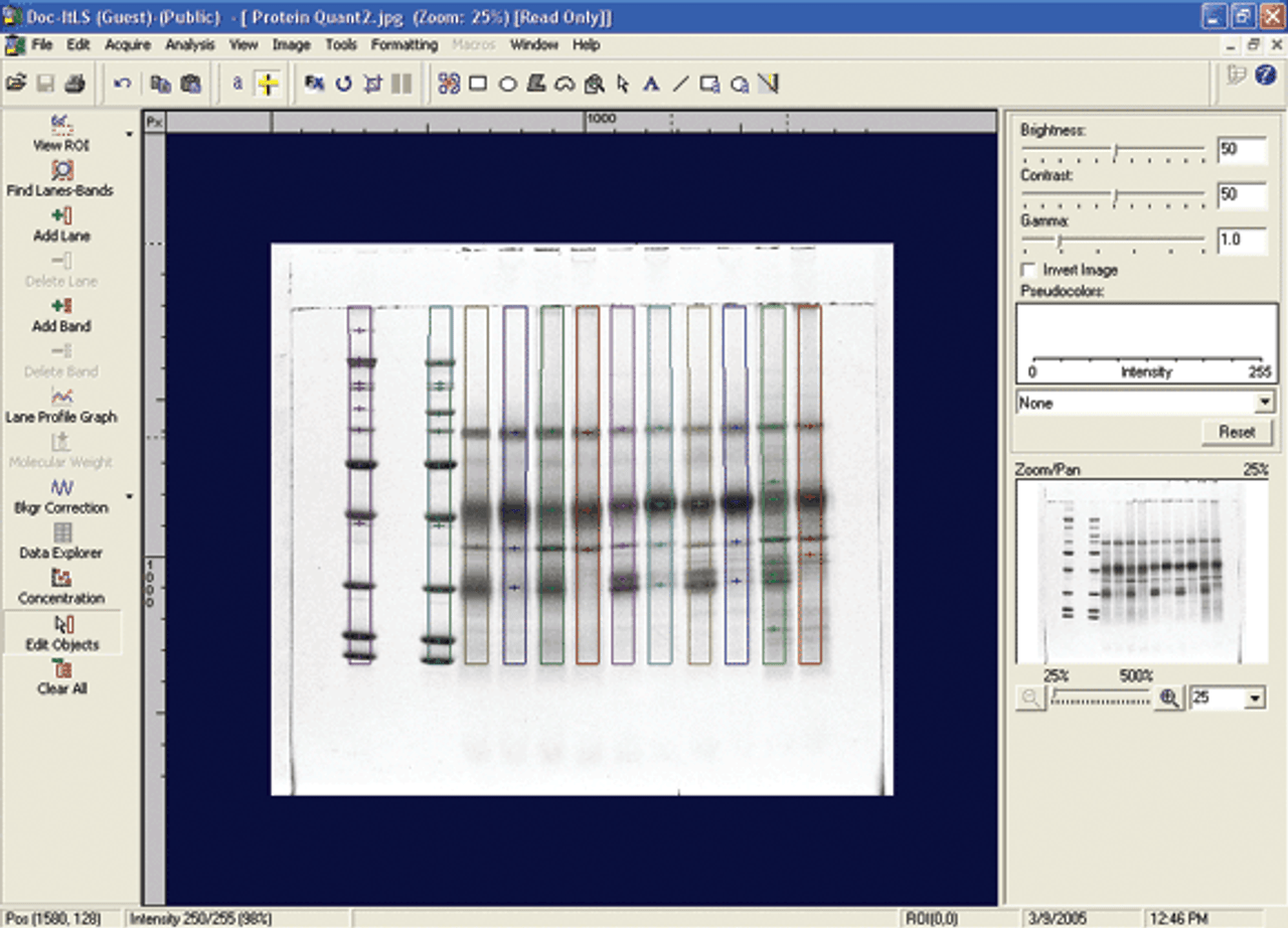 AnalytikJena Doc-It LS Image Analysis Software