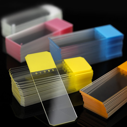 Globe Scientific Diamond White Glass Microscope Slides - Color Coded