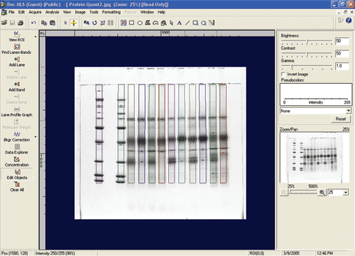 AnalytikJena Doc-It LS Image Analysis Software