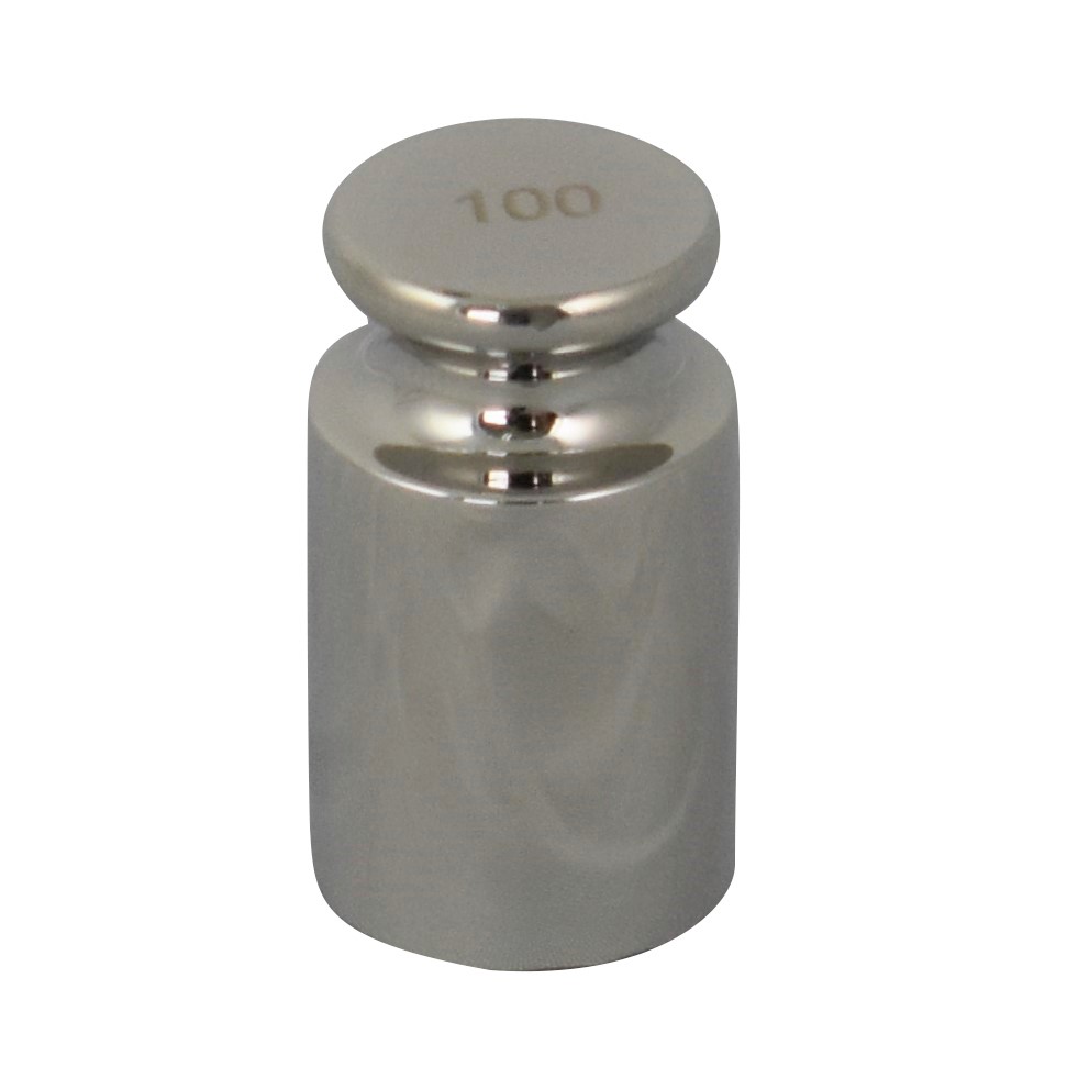 100g Calibration Weight in Case