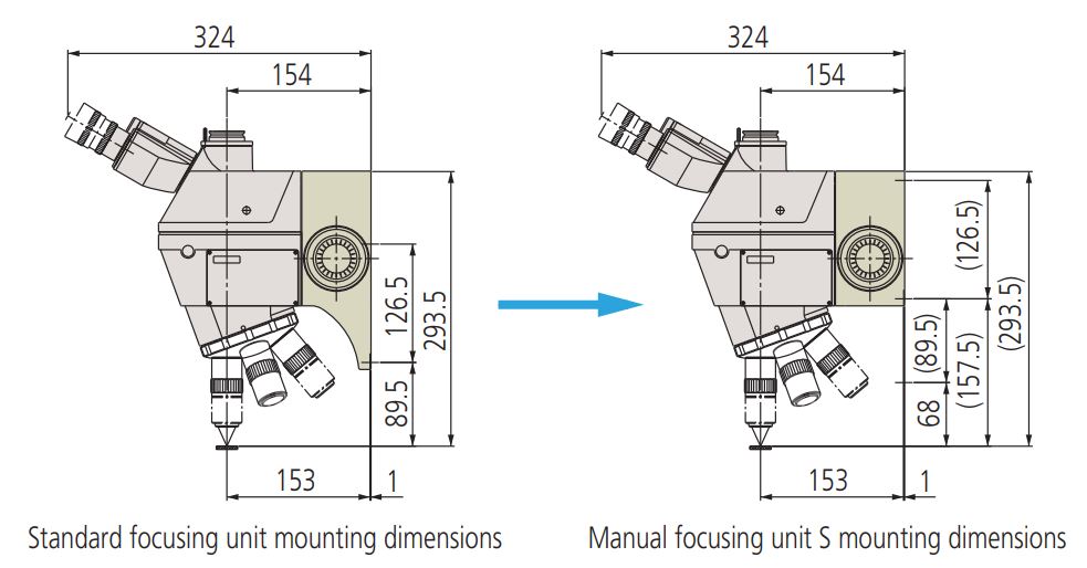 focus-head-short-vs-standard.jpg