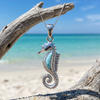 Larimar seahorse pendant necklace hanging on driftwood with turquoise water in the background