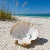 Larimar dolphin necklace and earring set in sterling silver displayed in seashell on Florida Gulf Coast beach - Crabby Mermaid