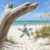 Larimar and cubic zirconia starfish necklace in sterling silver hanging on driftwood at Florida Gulf Coast beach with sea oats and blue sky - Crabby Mermaid