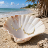 Labradorite stone disc hoop earrings in gold displayed in a white seashell on a Florida Gulf Coast beach — Crabby Mermaid